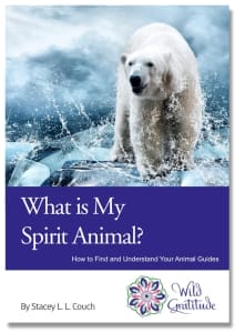 what is my spirit animal