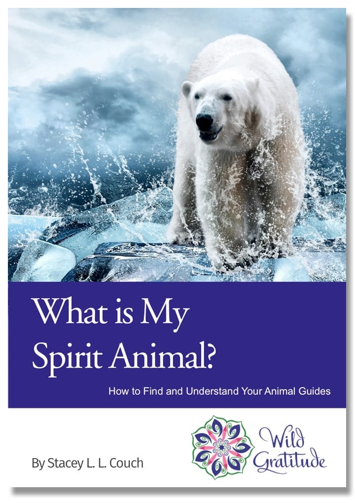 What Is My Spirit Animal? - Free Ebook
