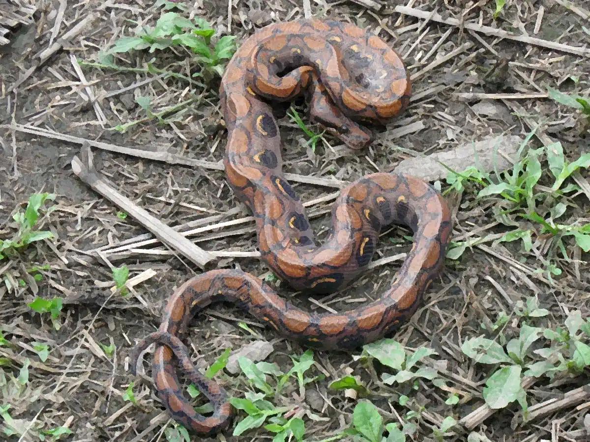 snake symbolism