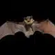 bat symbolism