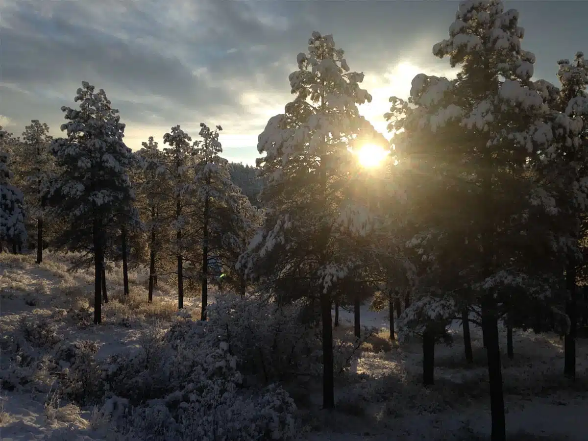 understanding solitude