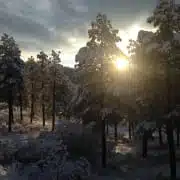 understanding solitude