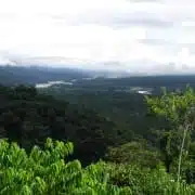 lost wilderness of being