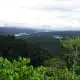 lost wilderness of being