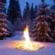 winter solstice celebrations