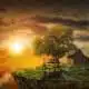 hermit archetype