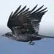 crow symbolism