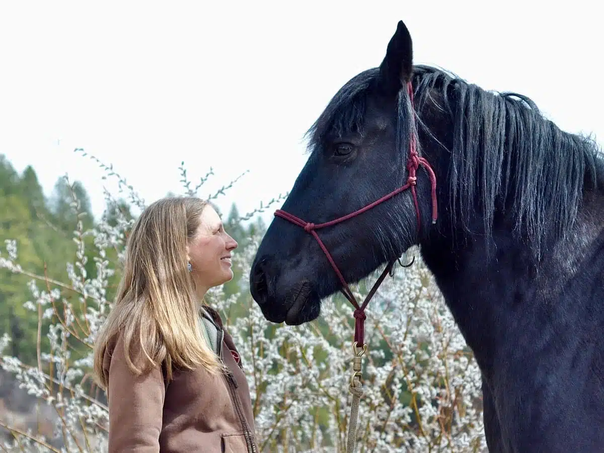 ME/CFS Awareness. Stacey Couch standing and looking at her black Friesian Percheron horse named Isabeau.