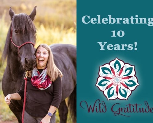 Stacey Couch celebrates Wild Gratitude's 10th Anniversary