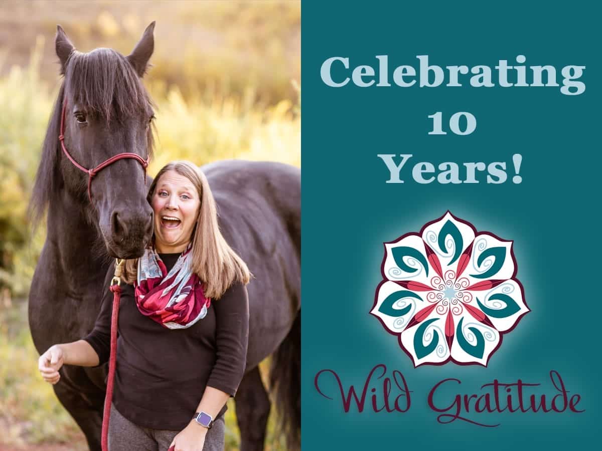 Celebrating Wild Gratitude S 10th Anniversary Wild Gratitude