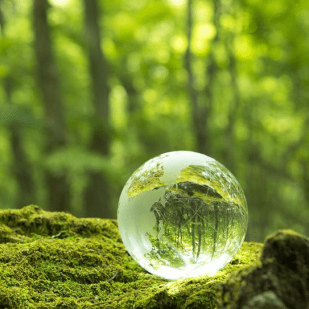 Consicous business mentoring with Stacey Couch. Photo of a glass globe in a green forest.
