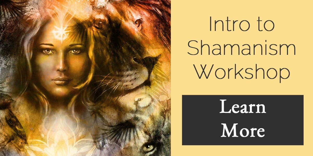 intro to shamanism workshop